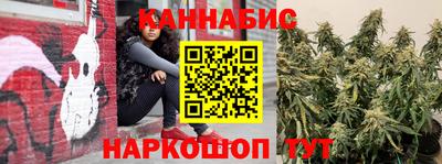 крисы Бузулук