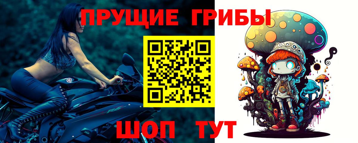 Свободный  Псилоцибиновые грибы Cubensis  Вход с VPN  Псилоцибиновые грибы прущие грибы 
